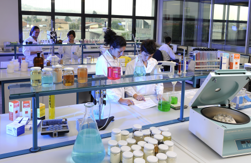 实现营收15.14亿元